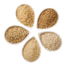 Aliments et compléments pour animaux d’élevage