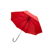 Women's Clothing Accessories